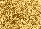 15x Micrograph of Composition 3004
